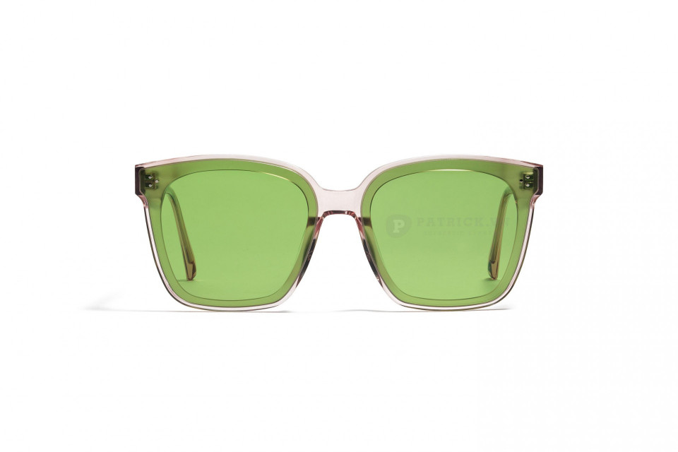 Gentle Monster Dreamer 17-PC1